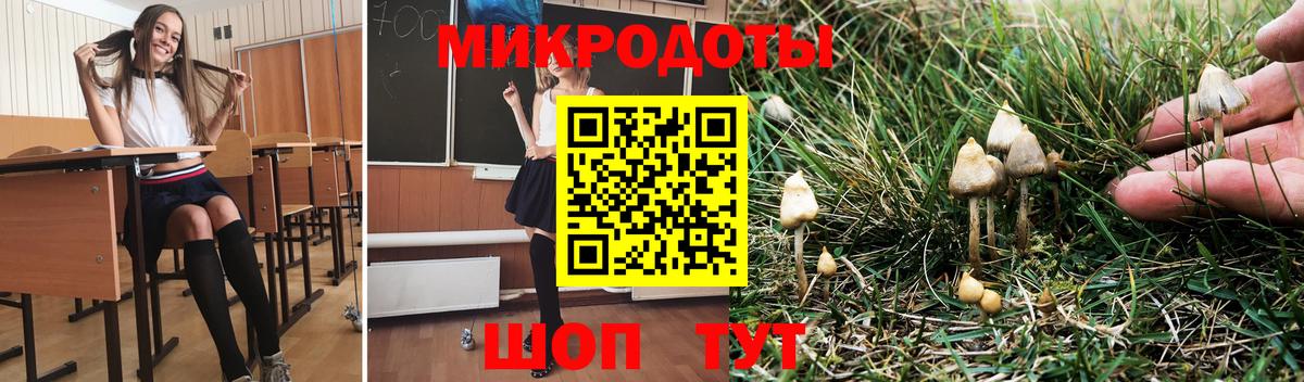 хочу наркоту  Вход с VPN  Кудымкар  Псилоцибиновые грибы MAGIC MUSHROOMS 