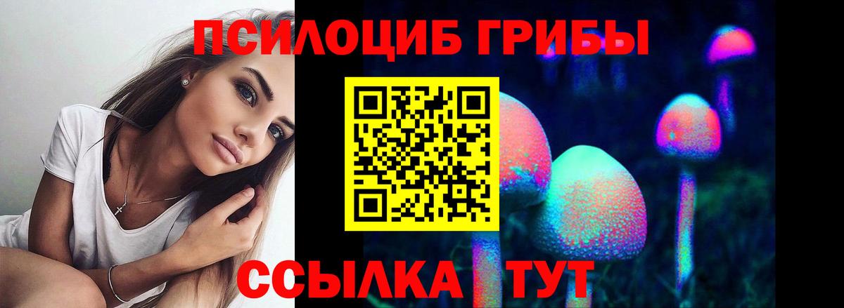 Галлюциногенные грибы MAGIC MUSHROOMS Кудымкар